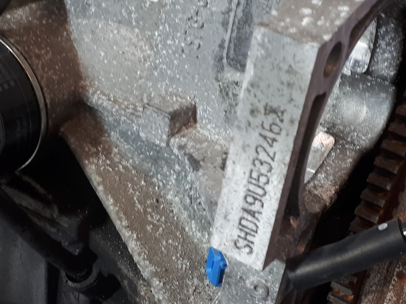 Recambio de motor completo para ford focus berlina (cap) ambiente (d) referencia OEM IAM SHDA  