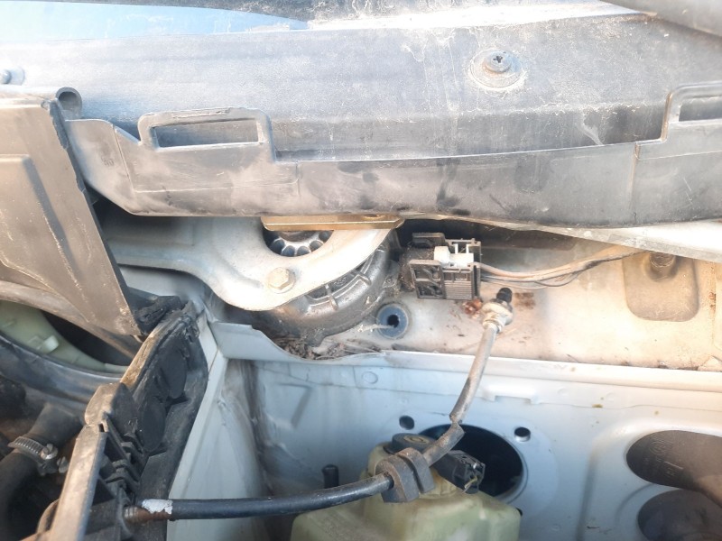 Recambio de motor limpia delantero para bmw 5 (e39) 523 i referencia OEM IAM   