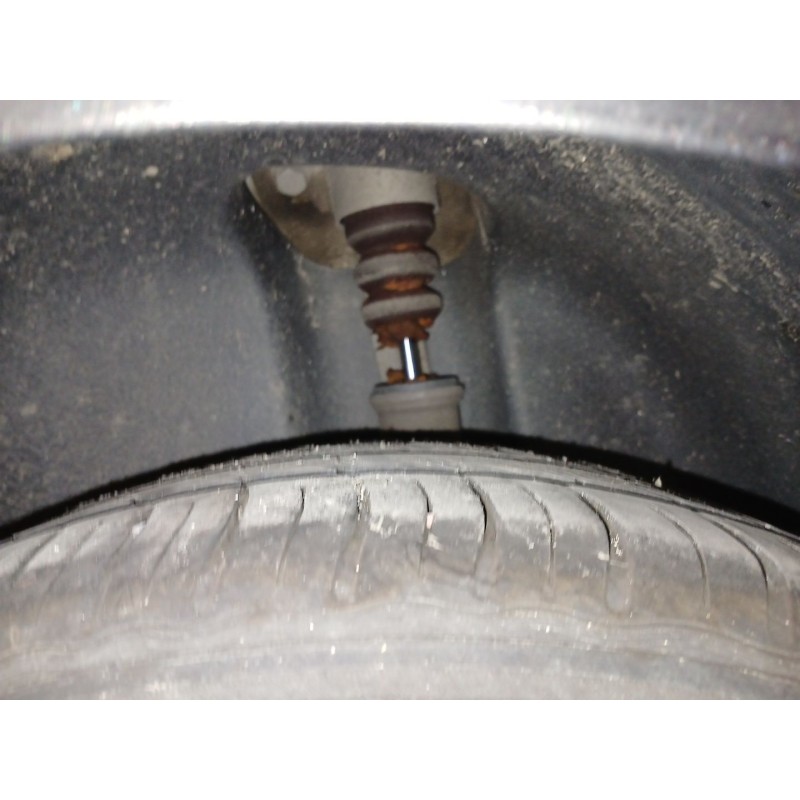 Recambio de amortiguador trasero izquierdo para seat ibiza iv (6j5, 6p1) 1.4 tdi referencia OEM IAM   