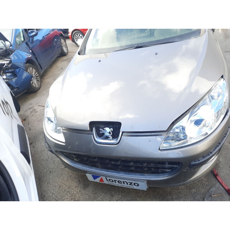 peugeot 407 (6d_) del año 2005