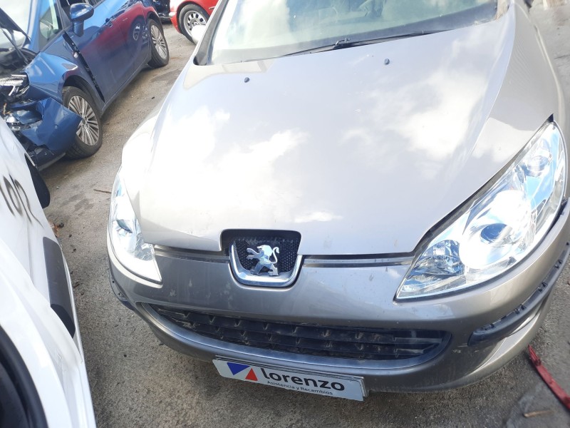 peugeot 407 (6d_) del año 2005