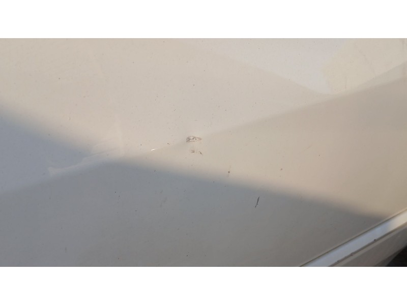 Recambio de puerta delantera izquierda para renault laguna iii (bt0/1) 1.5 dci (bt00, bt0a, bt0t, bt1j) referencia OEM IAM   