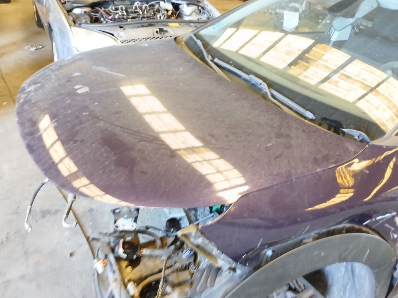 Recambio de capot delantero para citroën c4 cactus 1.6 bluehdi 100 referencia OEM IAM    Recambio de capot delantero para citroën c4 cactus 1.6 bluehdi 100 referencia OEM IAM