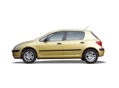 peugeot 307 (s1) del año 2005