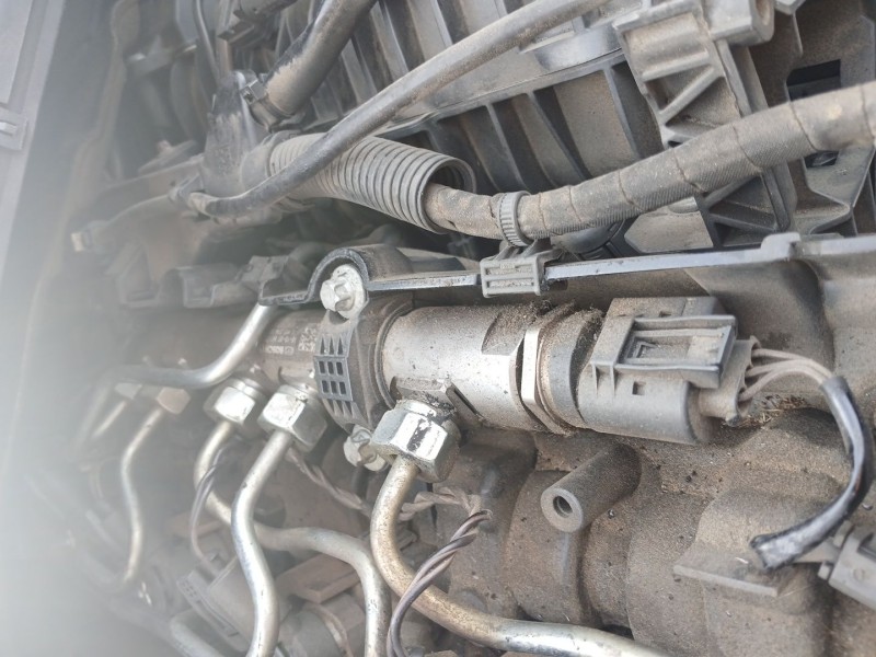 Recambio de rampa inyectora para bmw 3 (e90) 318 d referencia OEM IAM 0445214182  